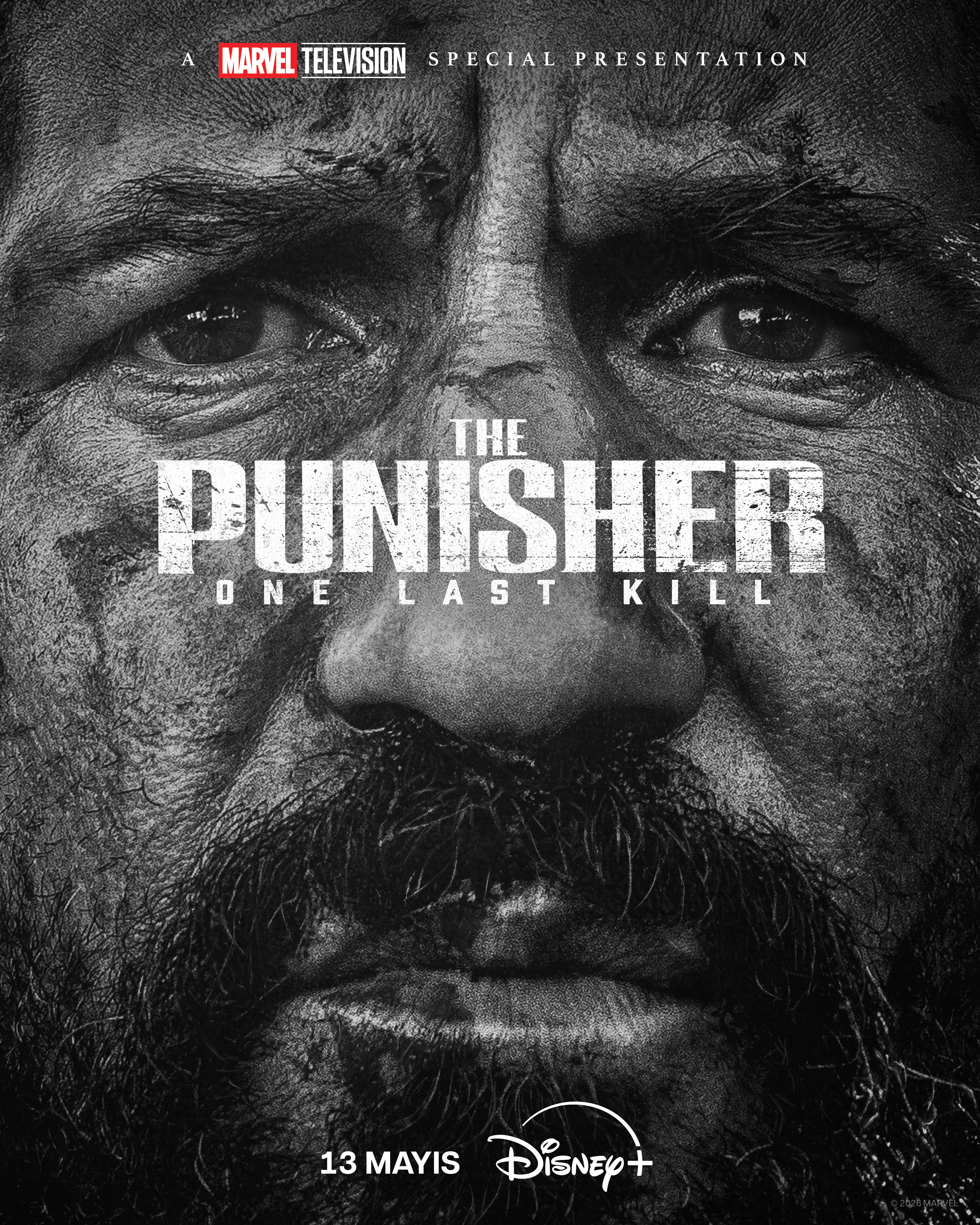 The Punisher: One Last Kill afişi