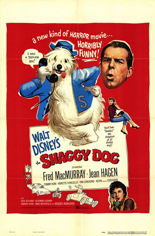 The Shaggy Dog afişi