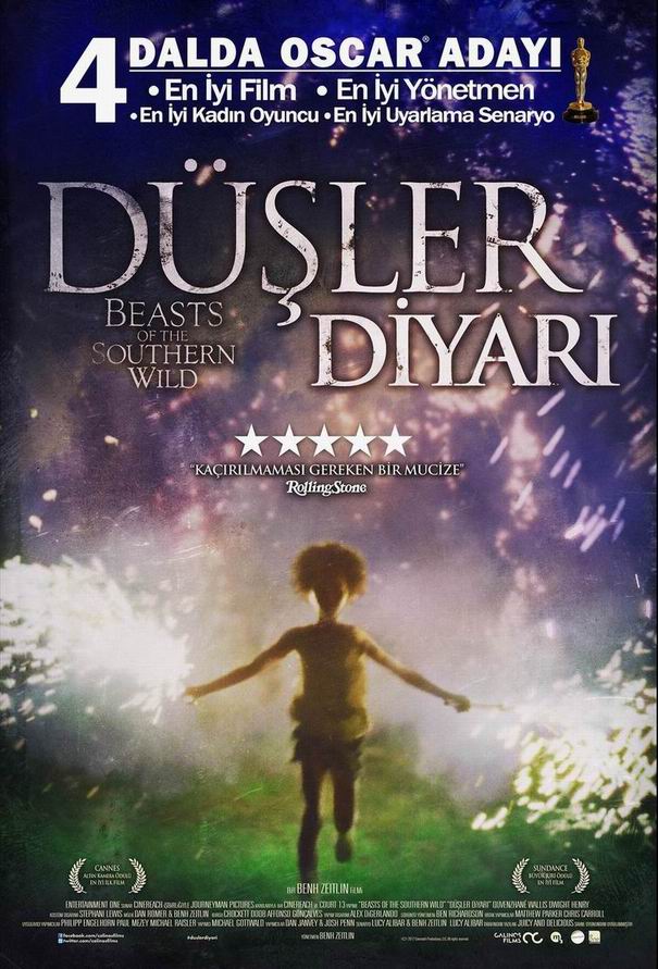 Düşler Diyarı afişi