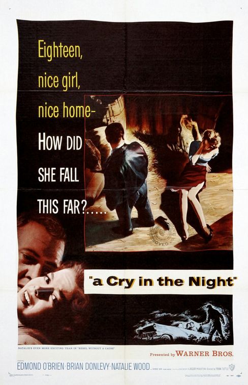 A Cry In The Night afişi