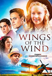 Wings Of The Wind afişi