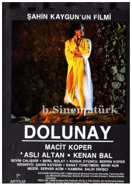 Dolunay afişi