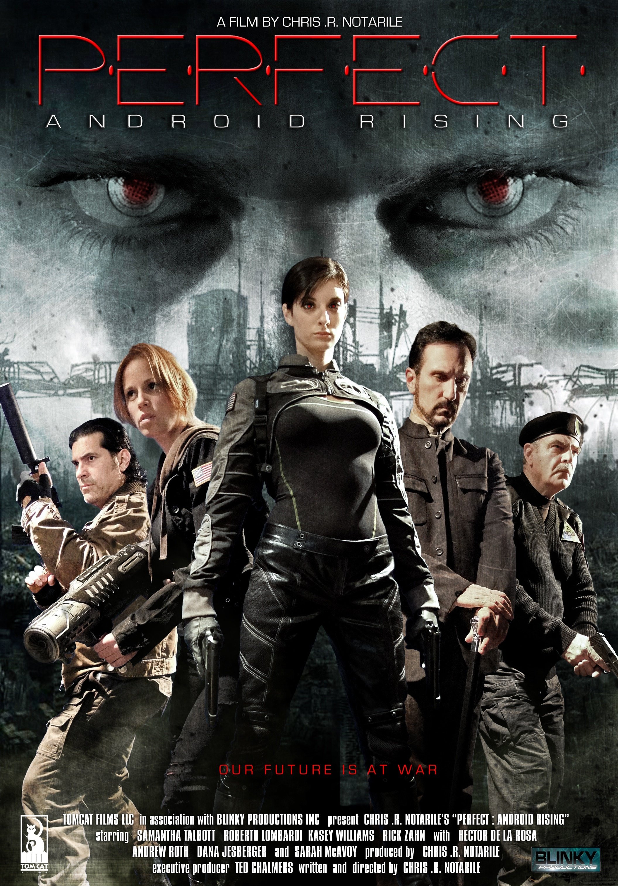 Perfect: Android Rising afişi