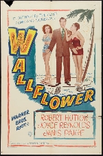 Wallflower afişi