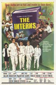The Interns afişi