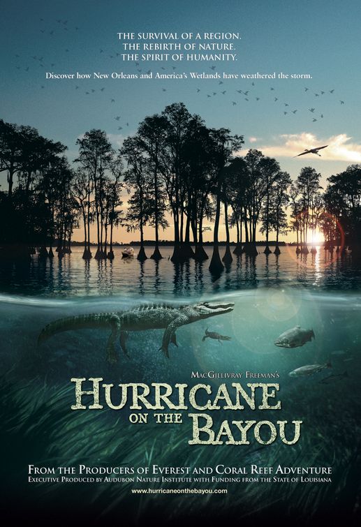 Hurricane on the Bayou afişi