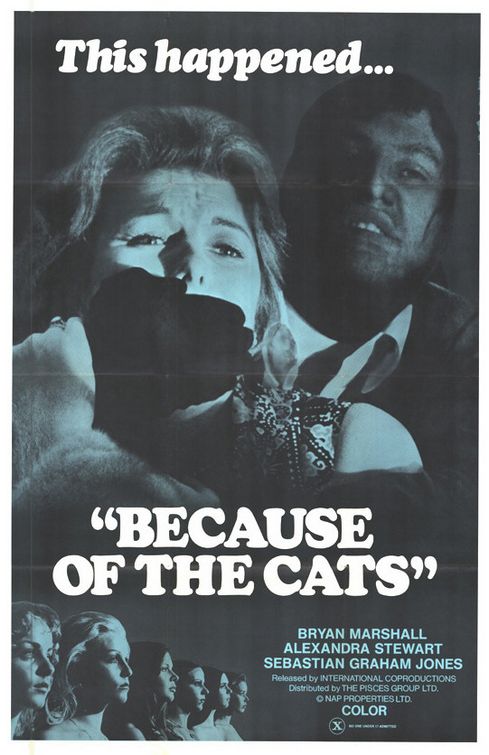 Because of the Cats afişi