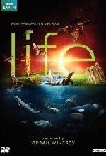 Life afişi