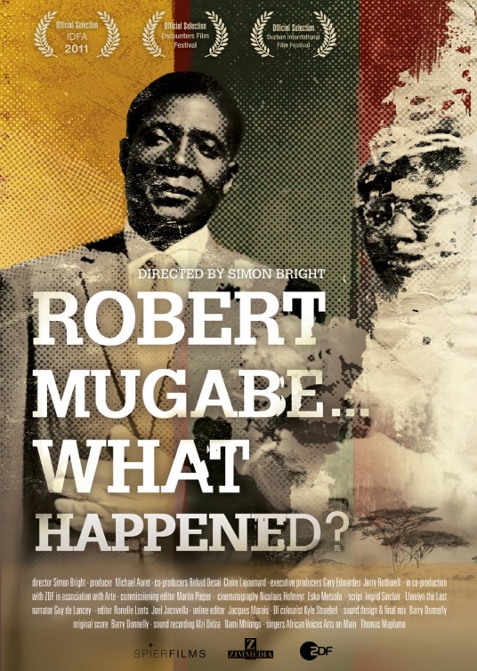 Robert Mugabe... What Happened? afişi