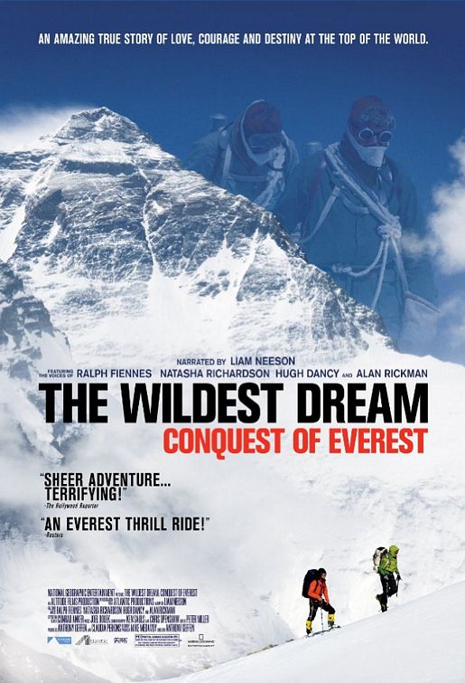 The Wildest Dream afişi