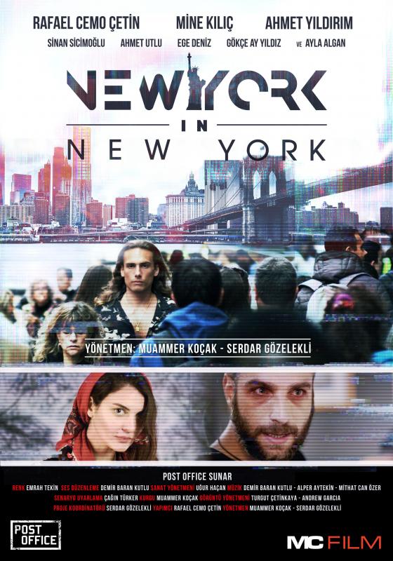 New York in New York afişi