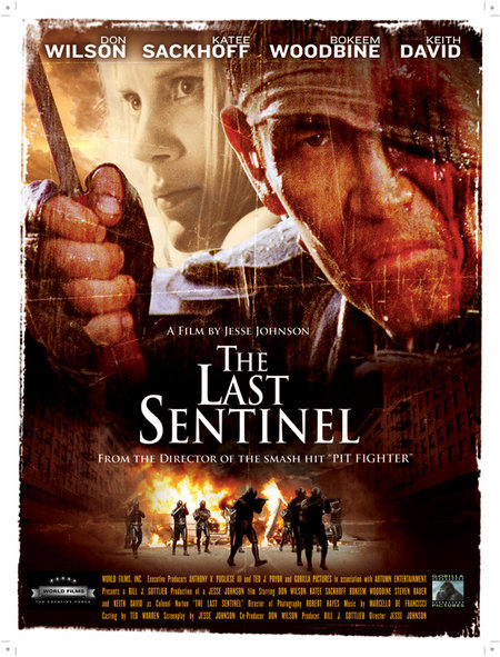 The Last Sentinel afişi