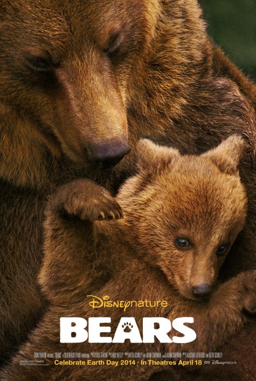 Bears afişi