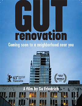 Gut Renovation afişi