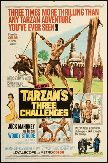 Tarzan's Three Challenges afişi