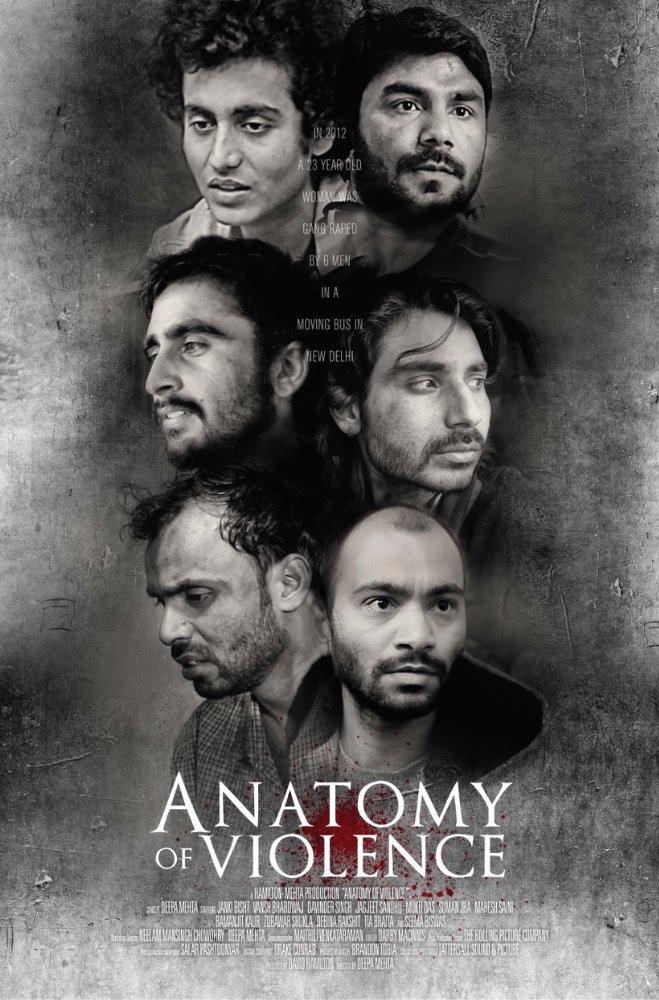 Anatomy of Violence afişi