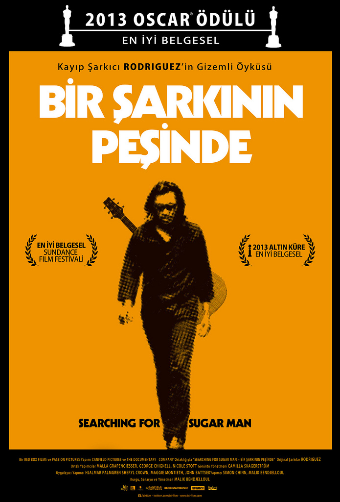 Bir Şarkının Peşinde afişi