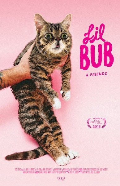 Lil Bub & Friendz afişi