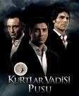 Kurtlar Vadisi Pusu afişi