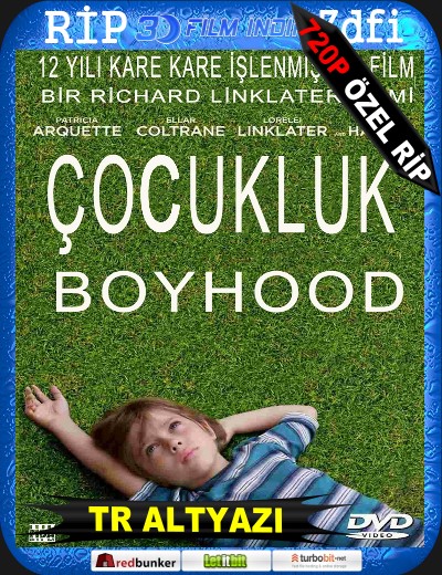 Boyhood afişi