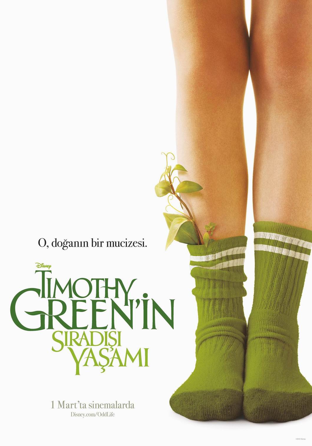 Timothy Green'in Sıradışı Yaşamı afişi