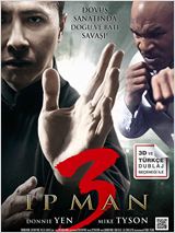 Ip Man 3 afişi