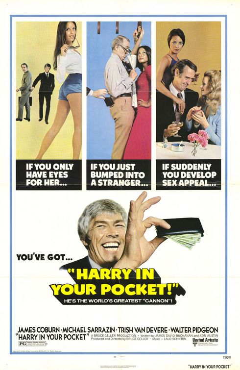 Harry in Your Pocket afişi