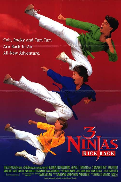 3 Ninjas Kick Back afişi