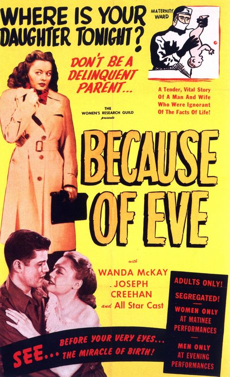 Because of Eve afişi