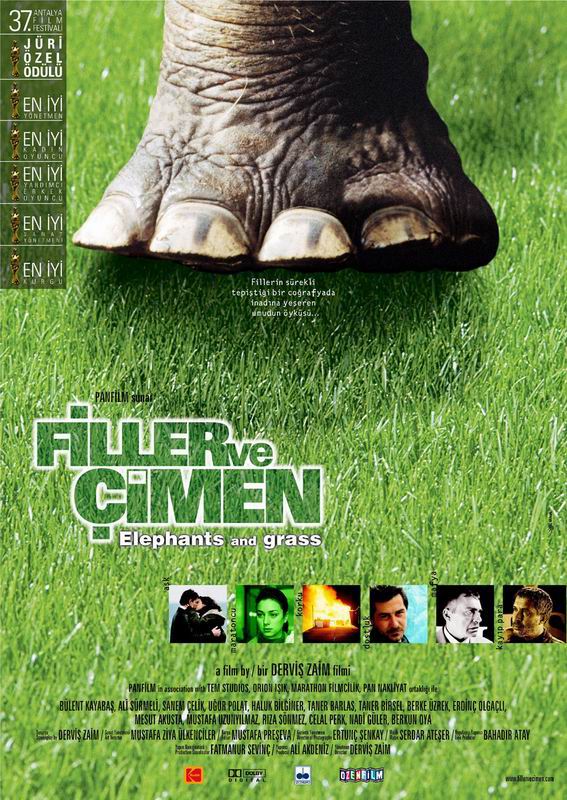 Filler ve Çimen afişi