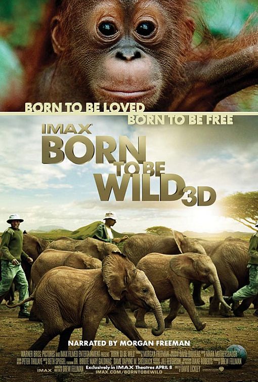 Born to Be Wild afişi