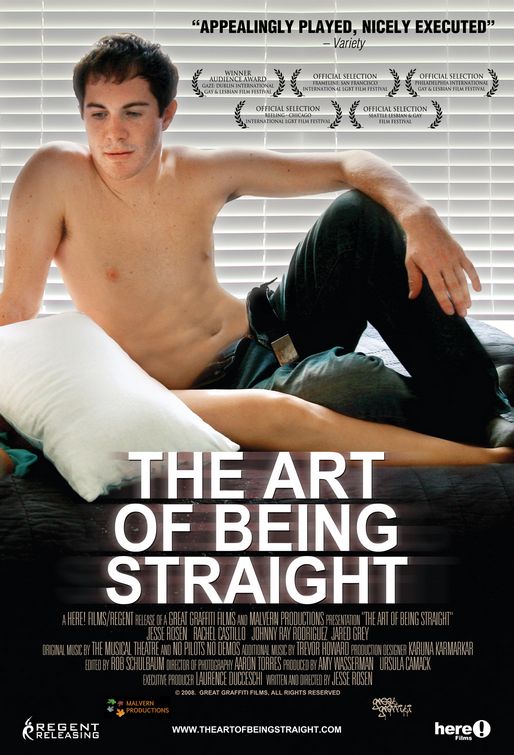 The Art of Being Straight afişi