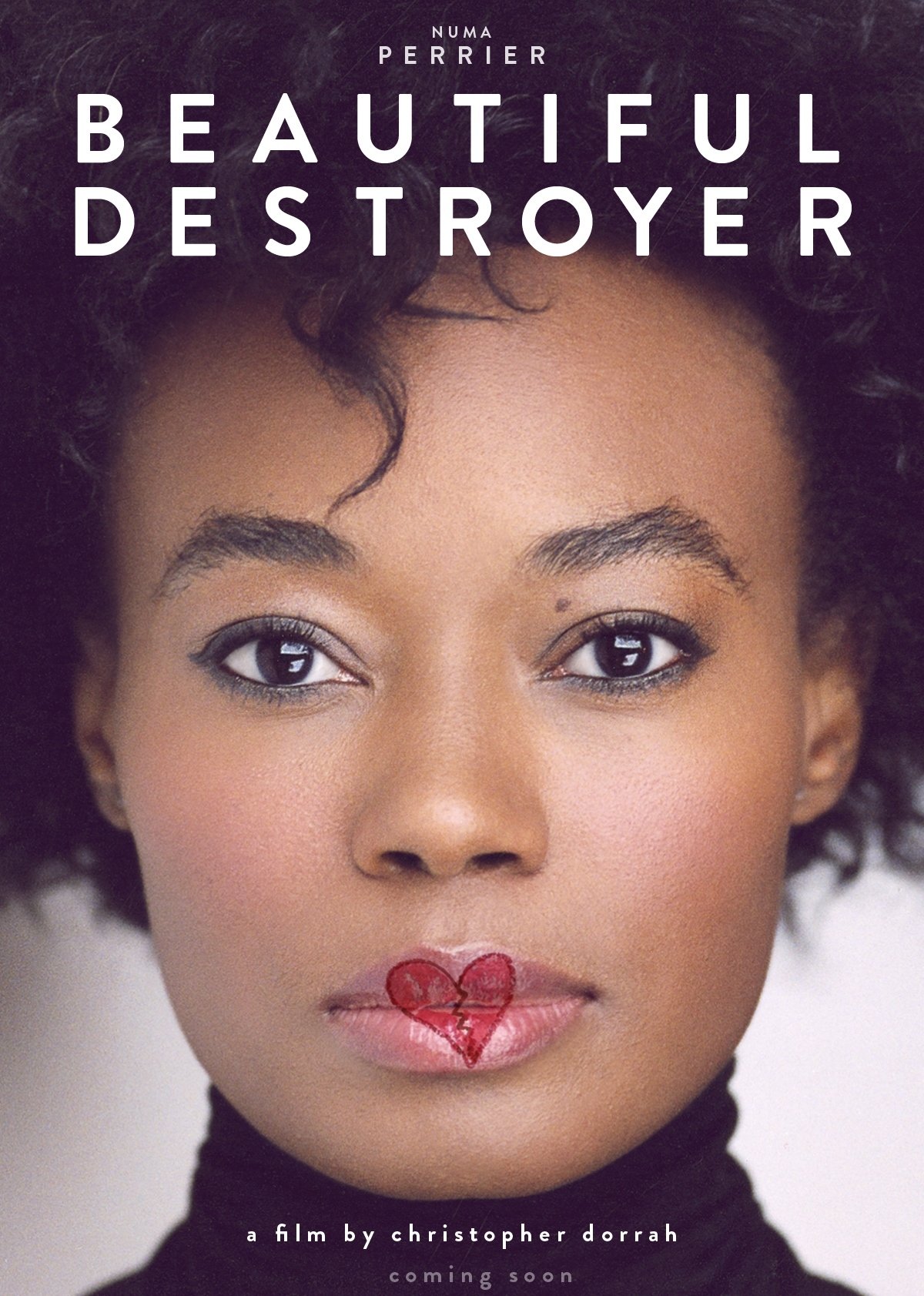 Beautiful Destroyer afişi