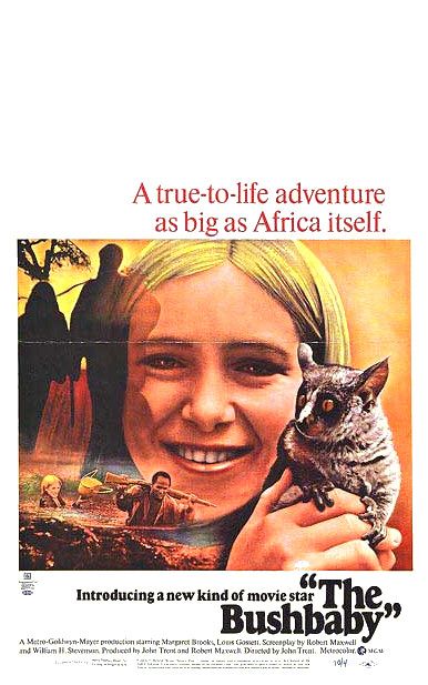 The Bushbaby afişi