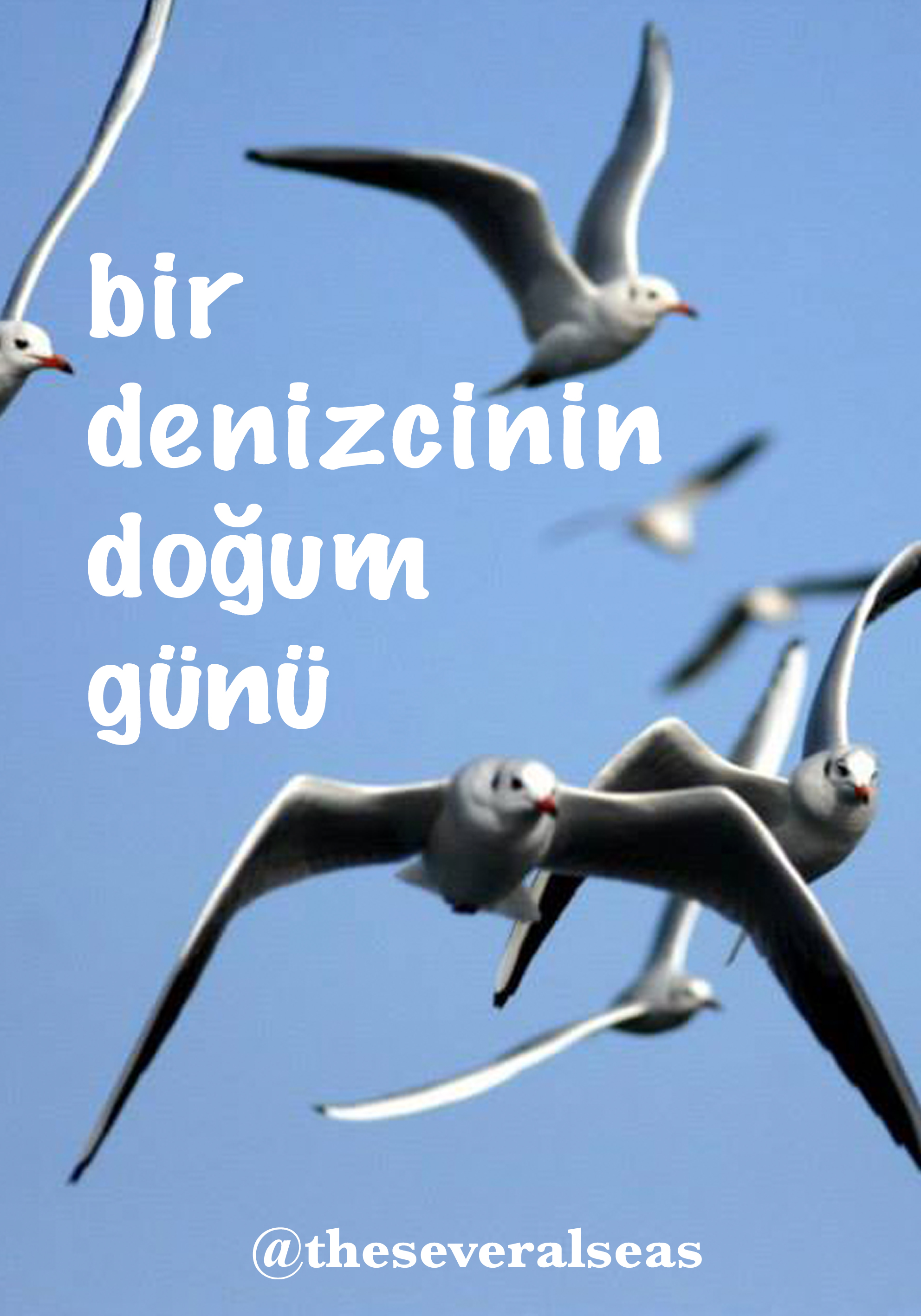 Bir Denizcinin Doğum Günü afişi