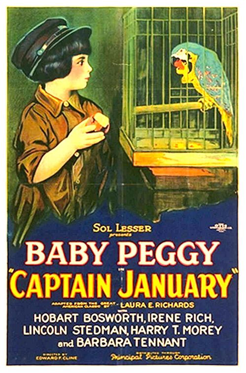 Captain January afişi