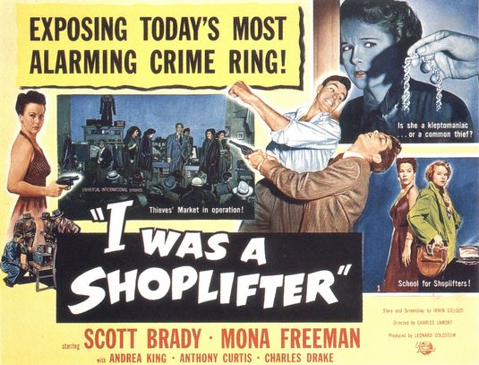 I Was a Shoplifter afişi