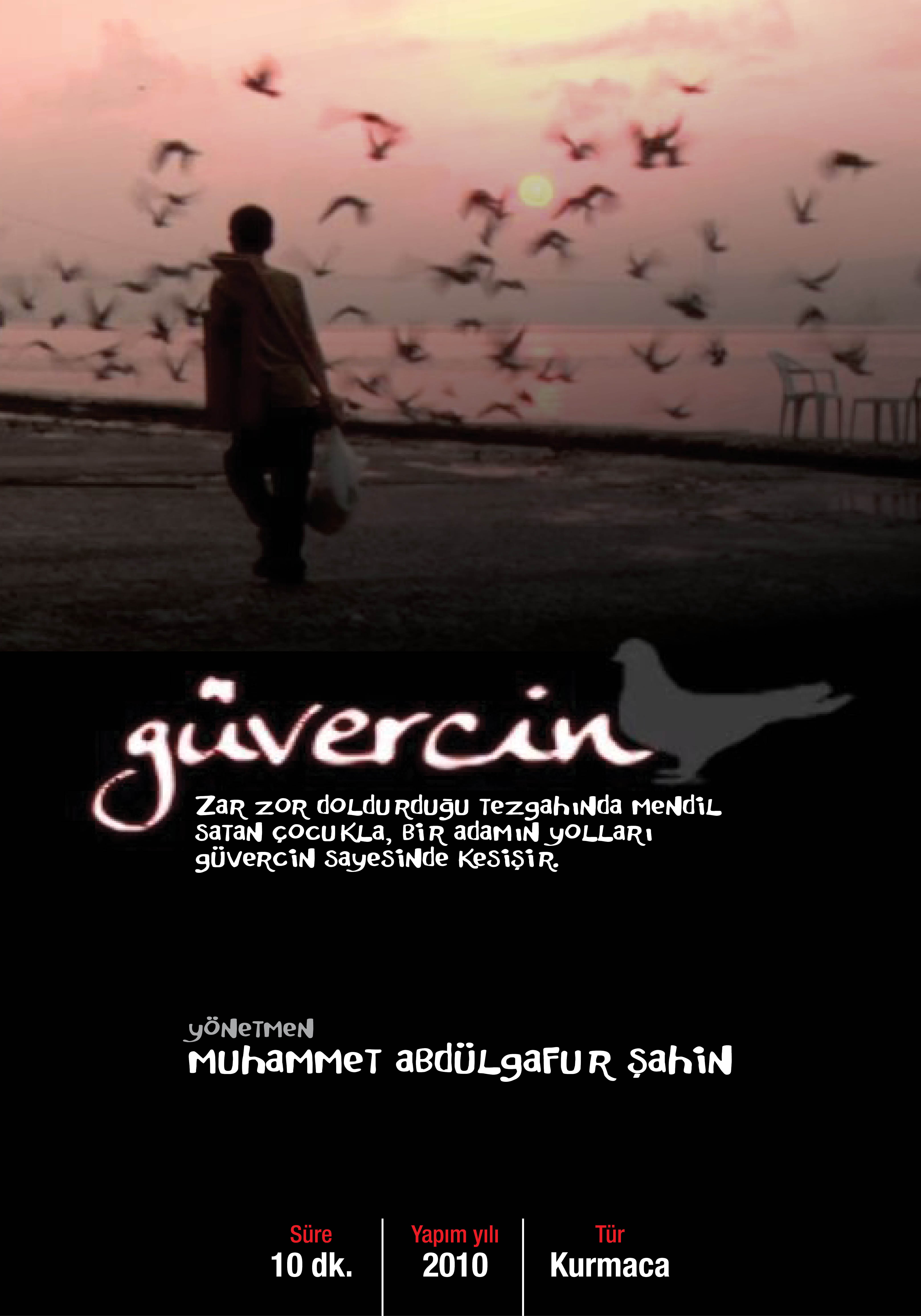 Güvercin afişi