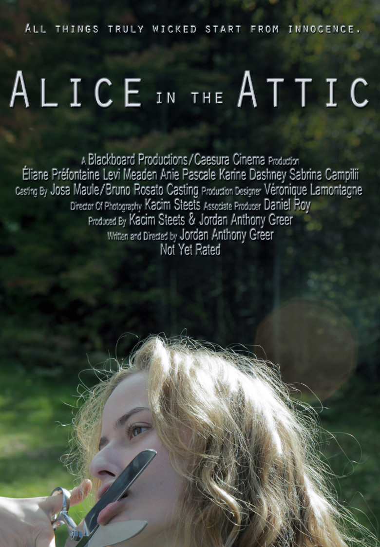 Alice in the Attic afişi