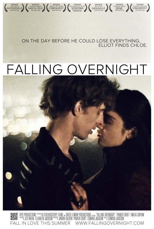 Falling Overnight afişi
