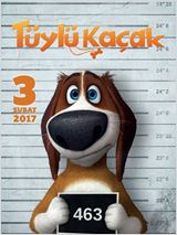 Tüylü Kaçak afişi