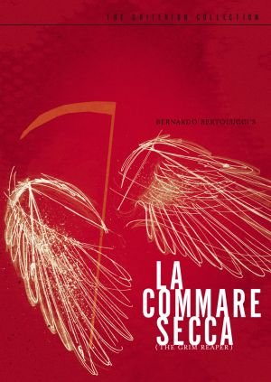La commare secca afişi