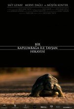 Bir Kaplumbağa ve Tavşan Hikayesi afişi