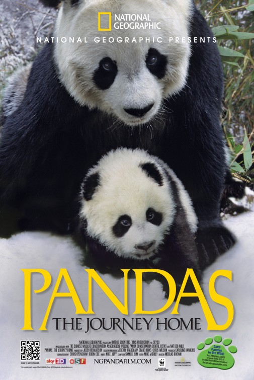 Pandas: The Journey Home afişi