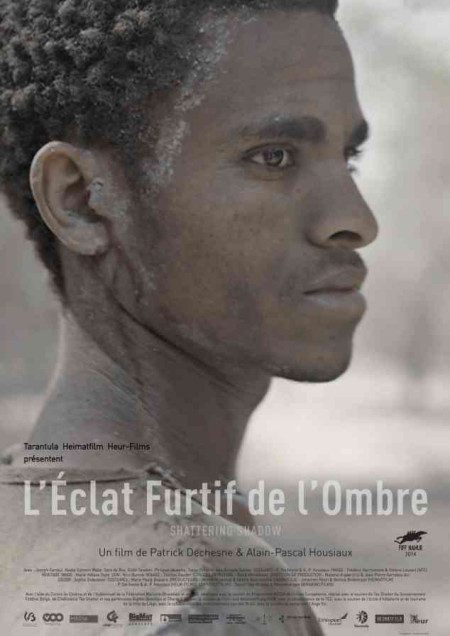 L'éclat furtif de l'ombre afişi