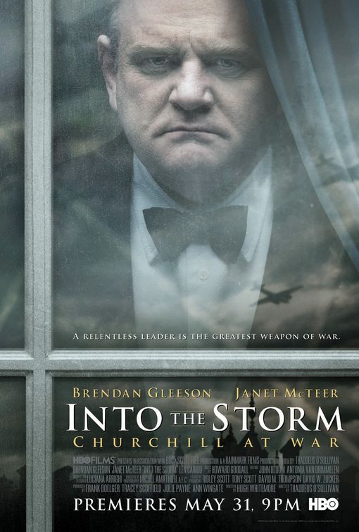 Into the Storm afişi