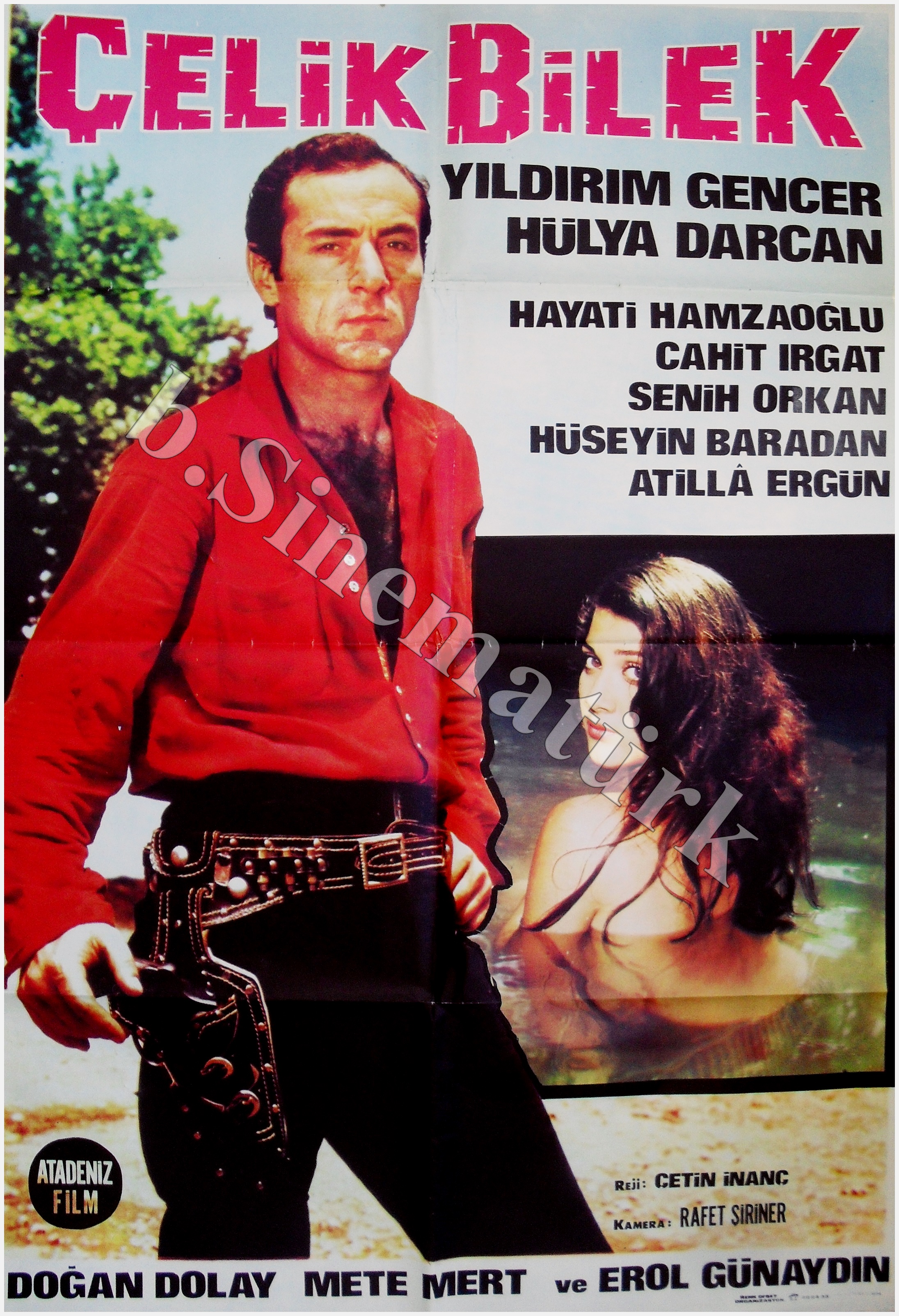 Çelik Bilek afişi
