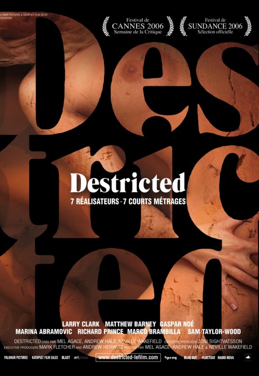 Destricted afişi