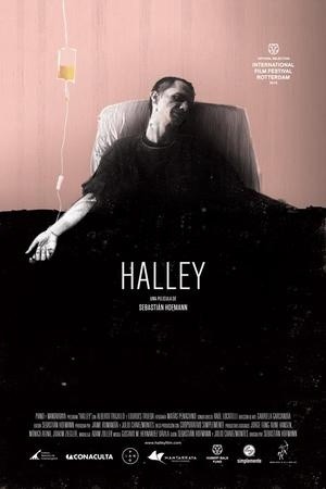 Halley afişi