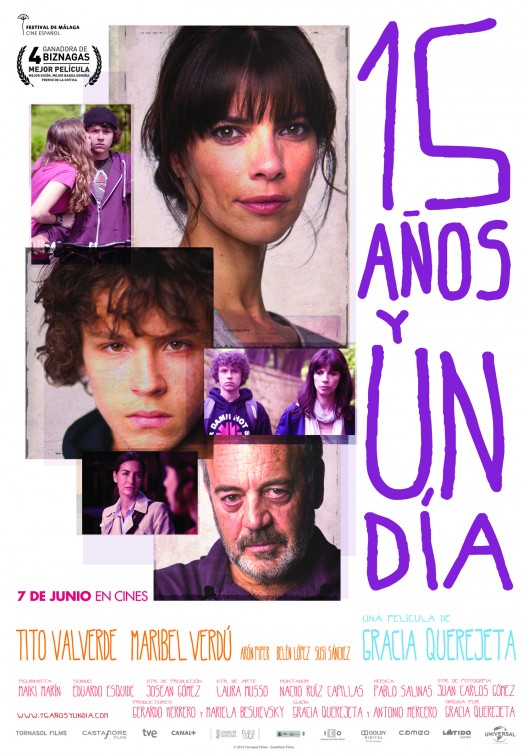 15 años y un día afişi